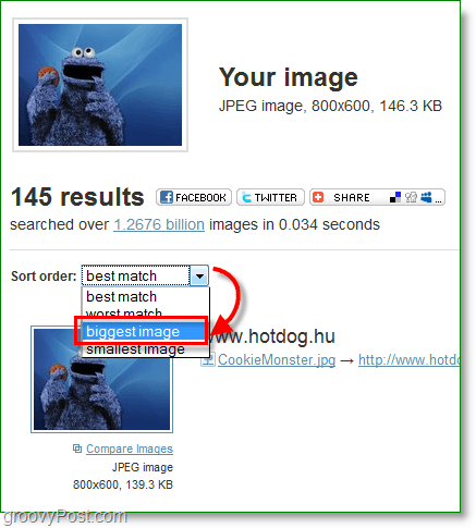 Captura de pantalla de TinEye: clasificación de los resultados de la imagen