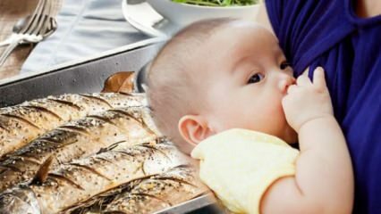 ¿Se puede comer pescado durante la lactancia?