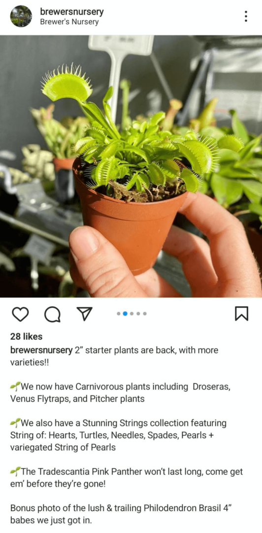 imagen de publicación de feed de Instagram que muestra un producto