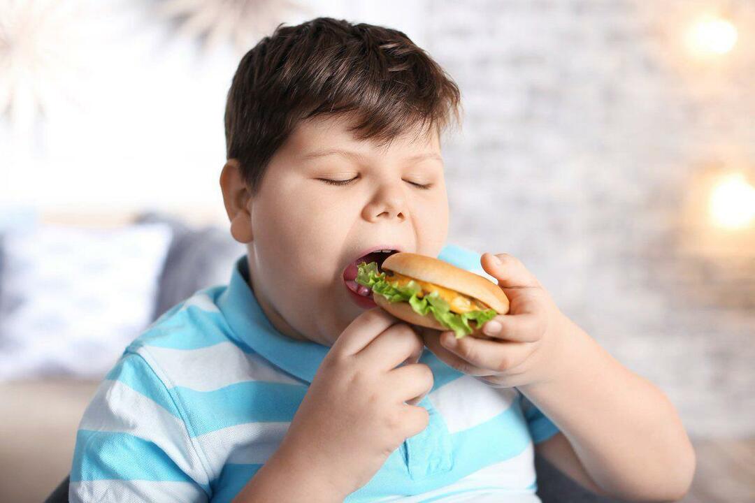¿Qué es la obesidad en los niños?