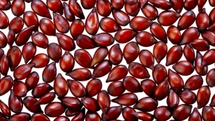 ¿Cuáles son los beneficios de las semillas de membrillo para la piel? ¿Cómo se aplica la semilla de membrillo a la piel?