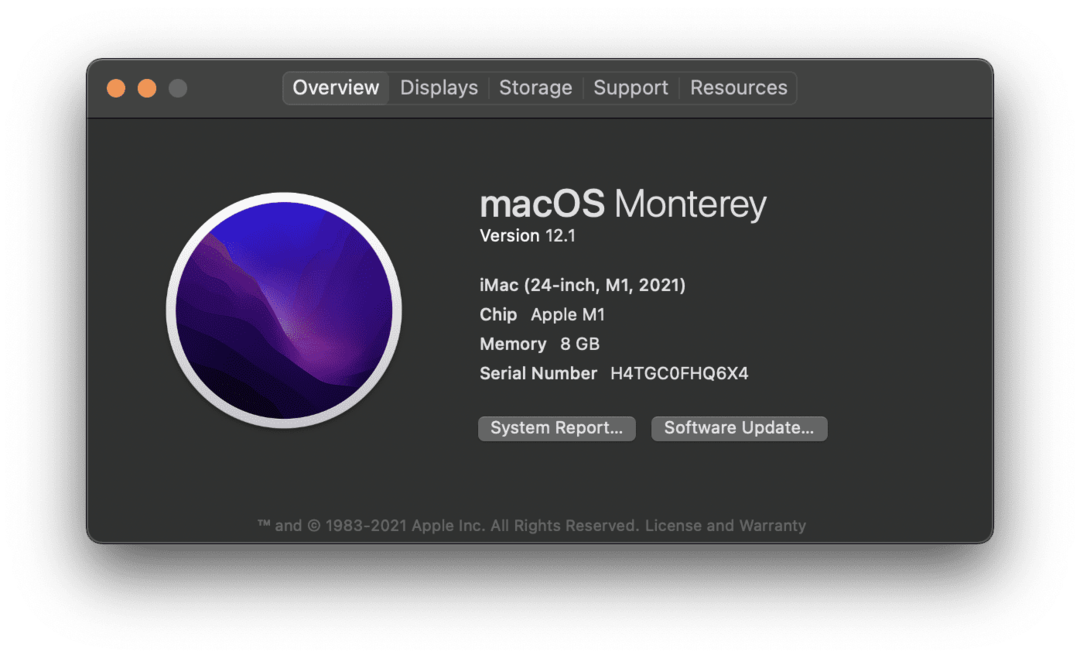 La página Acerca de esta Mac en una iMac M1