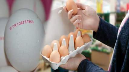 ¿Cómo se entiende el huevo orgánico? ¿Qué significan los códigos del huevo?