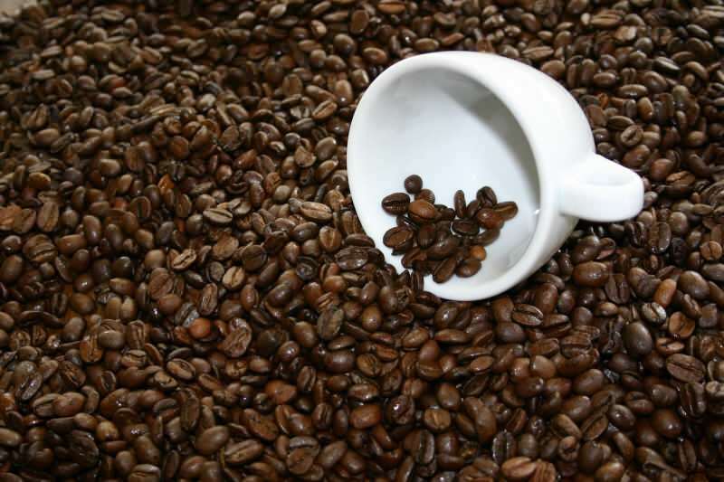 Dónde comprar granos de café de calidad