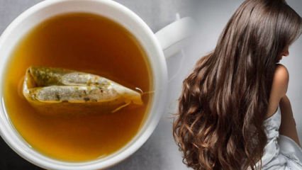 ¿Cuáles son los beneficios del té verde para el cabello? Receta de mascarilla de té verde para la piel