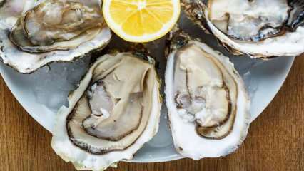 ¿Qué son las ostras y cómo se limpian las ostras? ¿Cómo comer ostras y cuáles son sus beneficios?