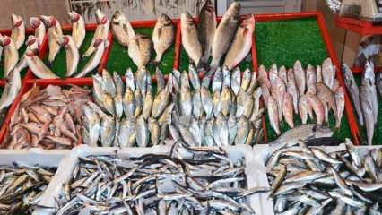 ¿Cómo eliminar el pescado tórico? Trucos para extraer el pez tórico