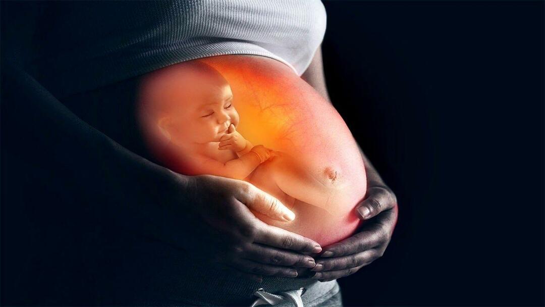 Cómo alimentar al bebé en el útero de la madre.