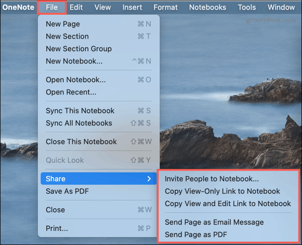 Compartir opciones en OneNote en Mac