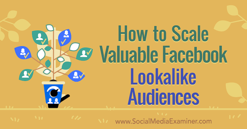 Cómo escalar audiencias valiosas similares a Facebook por Yahav Hartman en Social Media Examiner.