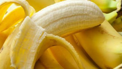 Daños del plátano