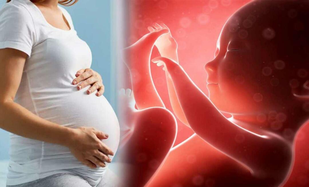 ¿El bebé tiene frío en el útero?