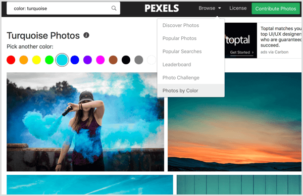 Pexels ordena las fotos por color