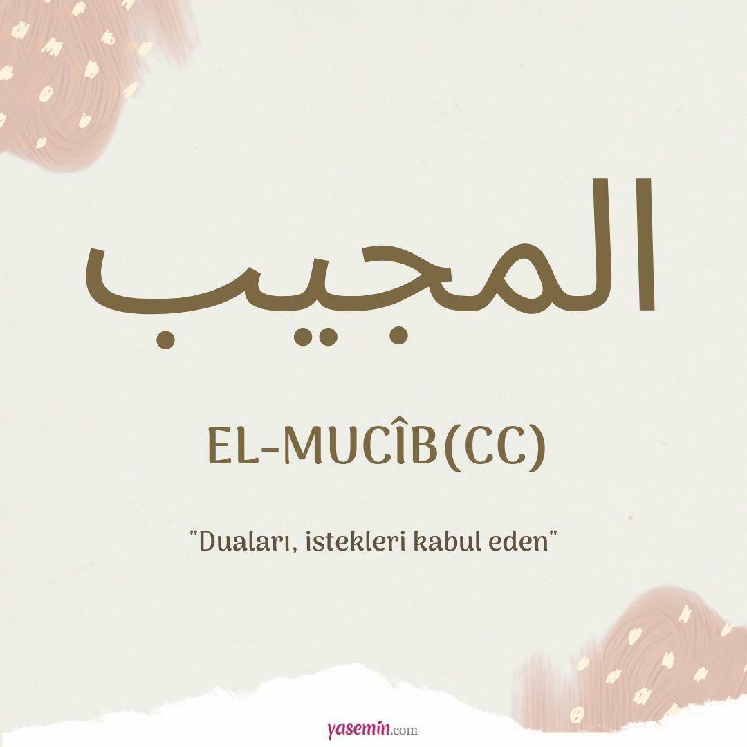 ¿Qué significa al-Mujib (cc)?