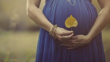 ¿Cómo deben alimentarse las mujeres embarazadas en la temporada de otoño?