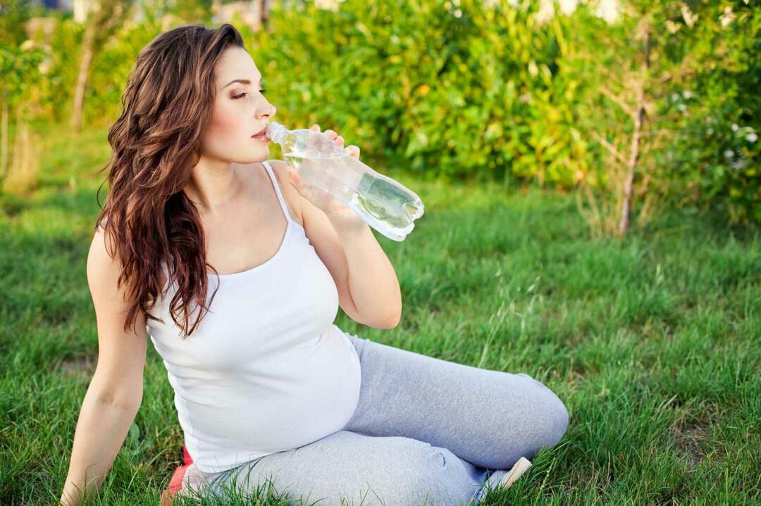 ingesta de líquidos durante el embarazo