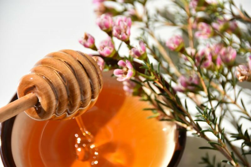 miel de manuka hecha de flor de manuka