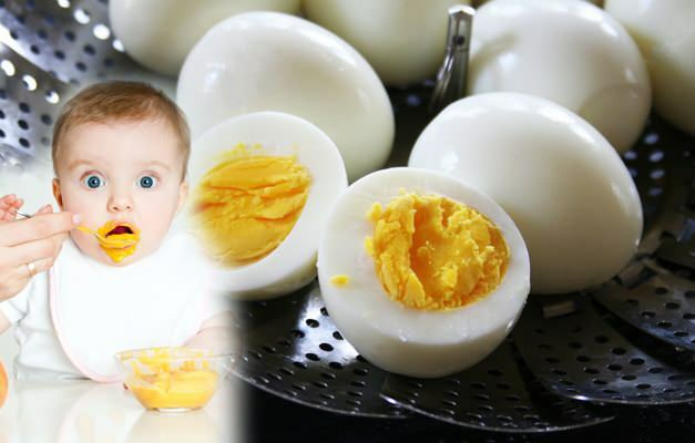 ¿Cómo alimentar las yemas de huevo a los bebés? ¿Cuándo se administra la yema de huevo a los bebés?