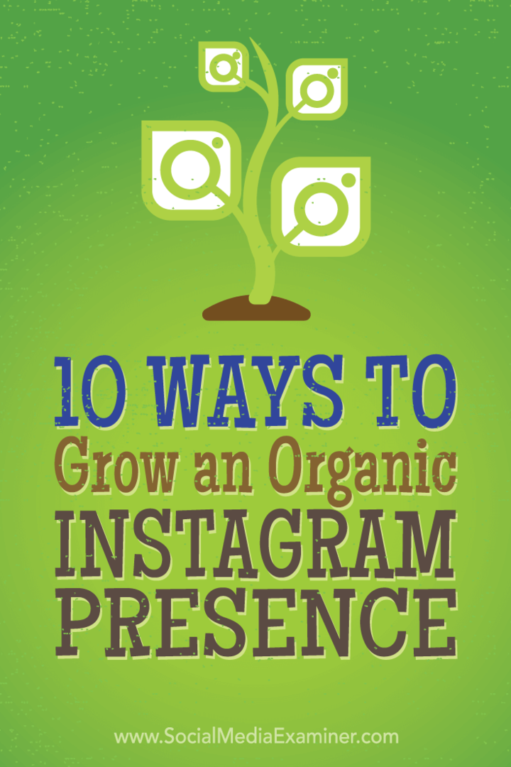 10 formas de hacer crecer una presencia orgánica en Instagram: examinador de redes sociales