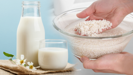 ¿Cómo preparar leche de arroz quema grasa? Método de adelgazamiento con leche de arroz