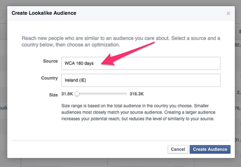 creando una audiencia similar a facebook