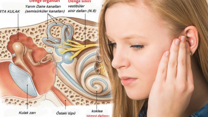 ¿Por qué juega el cristal del oído? Síntomas de la reproducción de cristales de oído ...