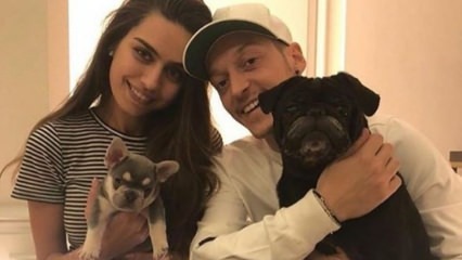 Mesut Özil celebra el cumpleaños de su prometida Amine Gülşe