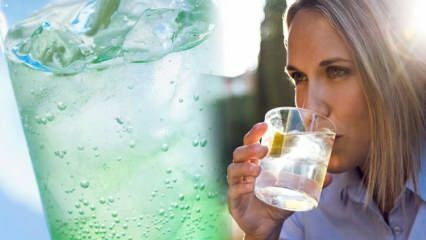 ¿El agua mineral de limón se debilita? Ciclo de pérdida de peso con agua mineral
