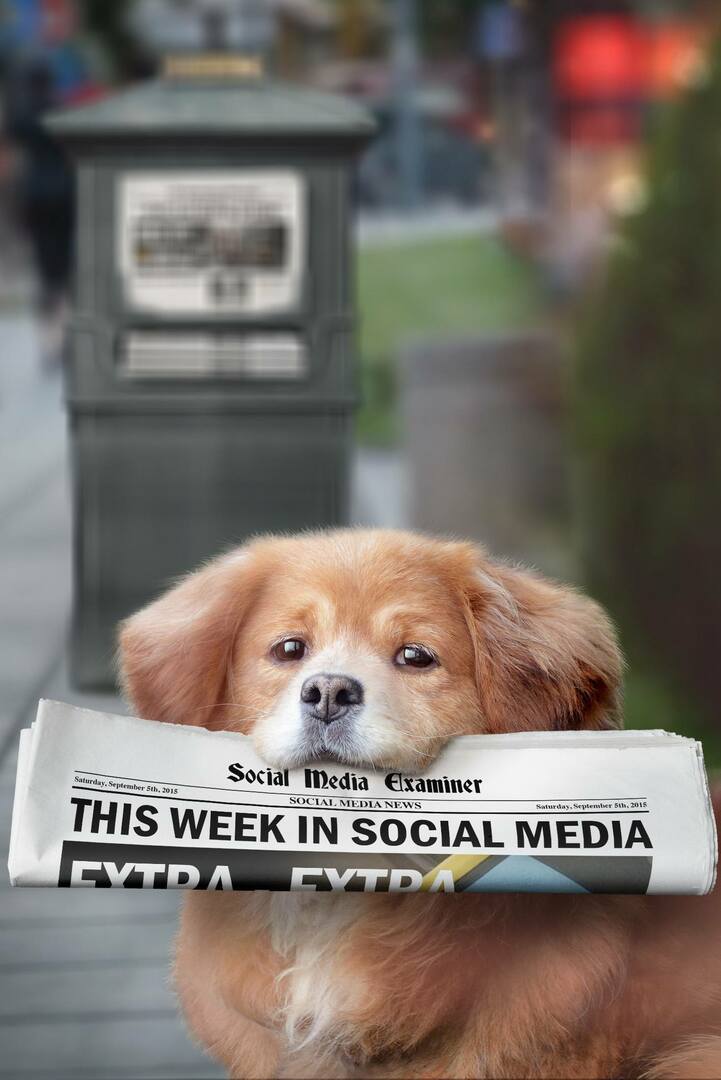 Meerkat presenta los hashtags en vivo: esta semana en las redes sociales: examinador de redes sociales