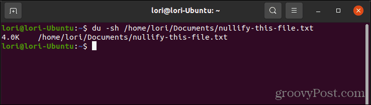 Usando el comando du para verificar el tamaño de un archivo en Linux