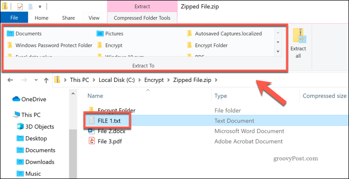 Extraer un archivo individual de un archivo Zip en el Explorador de archivos de Windows