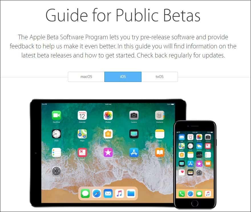 Guía de Apple para Betas públicas