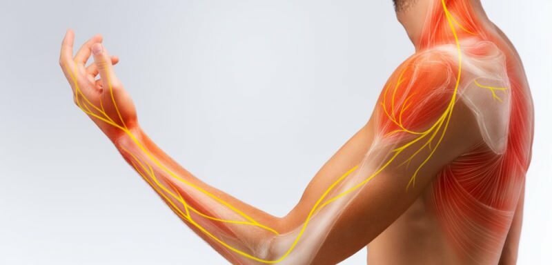 el daño al sistema nervioso puede causar entumecimiento en el brazo izquierdo