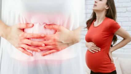 ¿Cómo entender las partes del aborto espontáneo durante el embarazo? Realización de baja ...