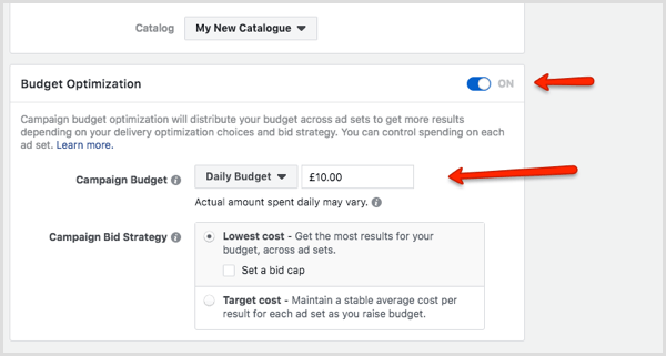 Sección de optimización de presupuesto en Facebook Ads Manager