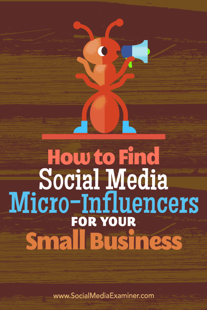 Cómo encontrar microinfluencers en redes sociales para su pequeña empresa: examinador de redes sociales