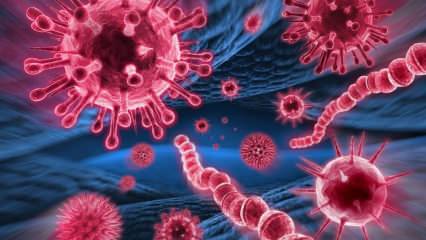 ¿Qué es el virus Mers? ¿Cuáles son los síntomas del virus Mers? ¿Cómo se transmite el virus Mers?