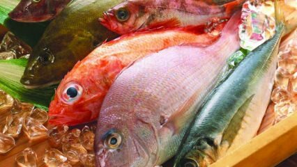 ¿Cuáles son los beneficios del pescado? ¿Cómo consumir el pescado más saludable?