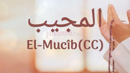 ¿Qué significa al-Mujib (c.c)? ¿Cuáles son las virtudes del nombre Al-Mujib? Esmaul Husna Al Mujib...