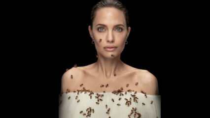 Angelina Jolie en lente con abejas para abejas!
