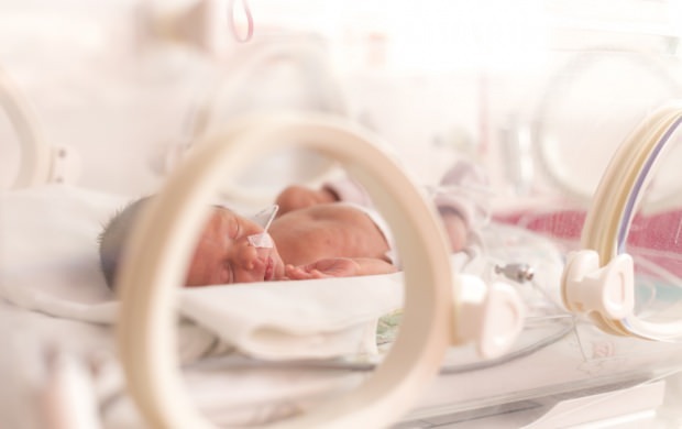 por qué los bebés son incubados
