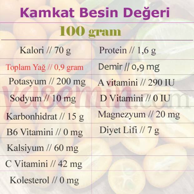 valor nutricional de kumquat