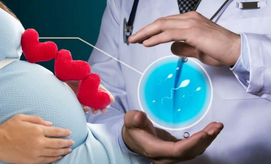 Un nuevo método en el tratamiento de la infertilidad: ¡Terapia con células madre en la infertilidad femenina!