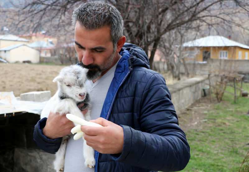 Murat Aydemir salvó la vida del cachorro de cabra