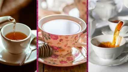 ¿Cuáles son los mejores modelos de tazas de té de Evidea? 2022 Los mejores modelos y precios de tazas de té.