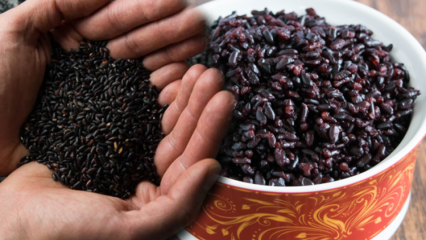 ¿Cuáles son los beneficios del arroz negro? ¿Cuál es el otro nombre de arroz negro? ¿Cómo se consume el arroz negro?