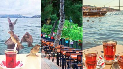 Jardines de té familiares en el lado de Anatolia de Estambul