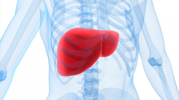 ¿Cómo pasa la grasa del hígado?