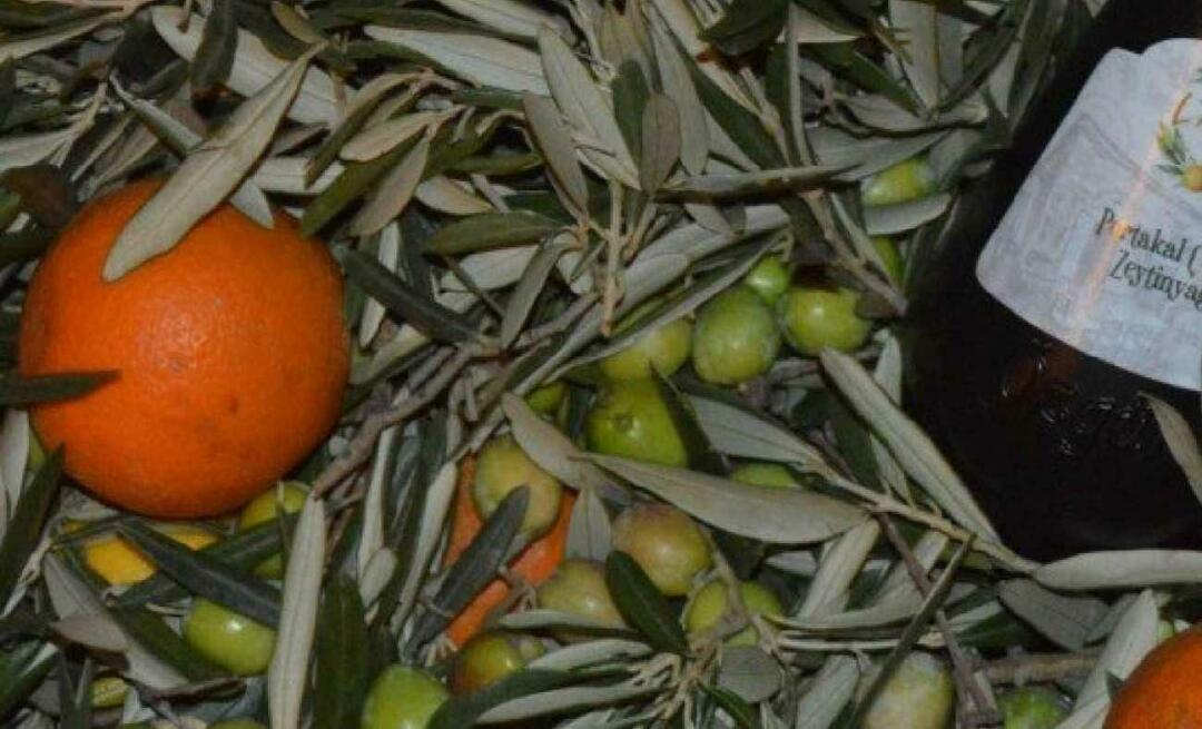 ¡Las empresarias de Balıkesir produjeron aceite de oliva de naranja!