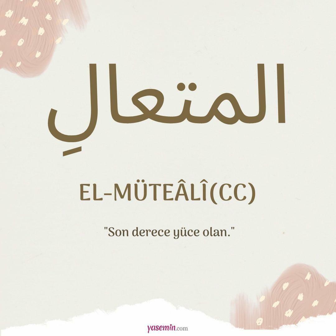 ¿Qué significa al-Mutaali (cc)?